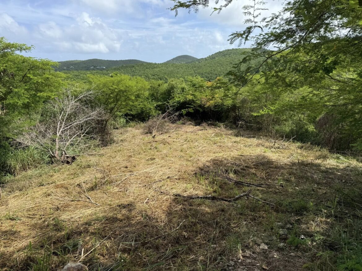 Community Garden Project on St John Aims to Cultivate Food Security and Resilience Community Garden Project on St John Aims to Cultivate Food Security and Resilience