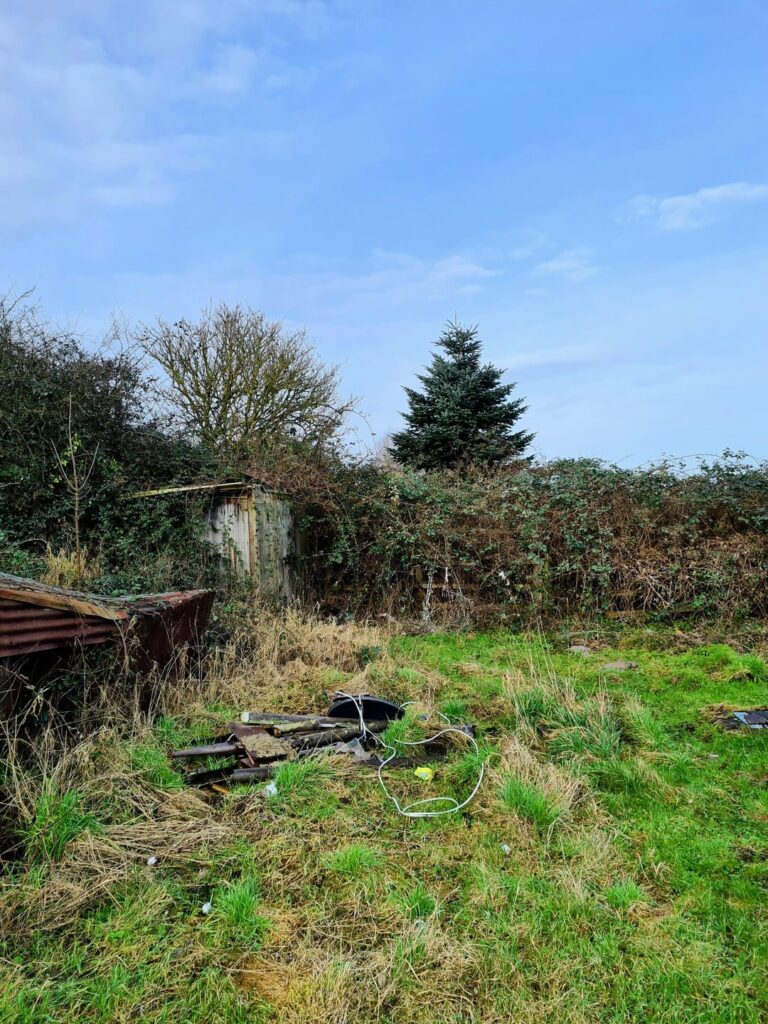 Over grown garden I need some advice