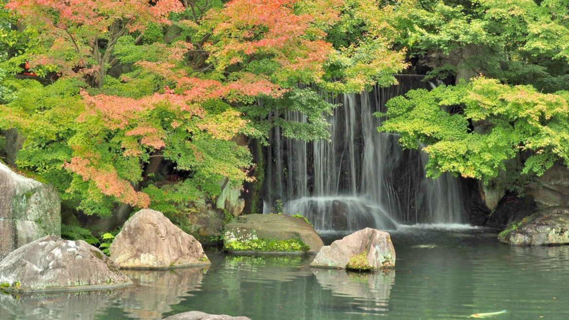 How To Embrace the Beauty of Wabi-Sabi For a Natural, No-Fuss Yard Japanese maples, autumn, fall, waterfall