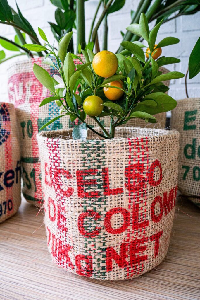 There's something about coffee bag planters that plastic pots will never have. The imperfections tell a story