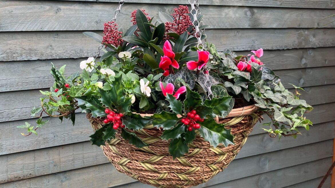 I made a Christmas hanging basket for an easy outdoor upgrade I made a Christmas hanging basket for an easy outdoor upgrade