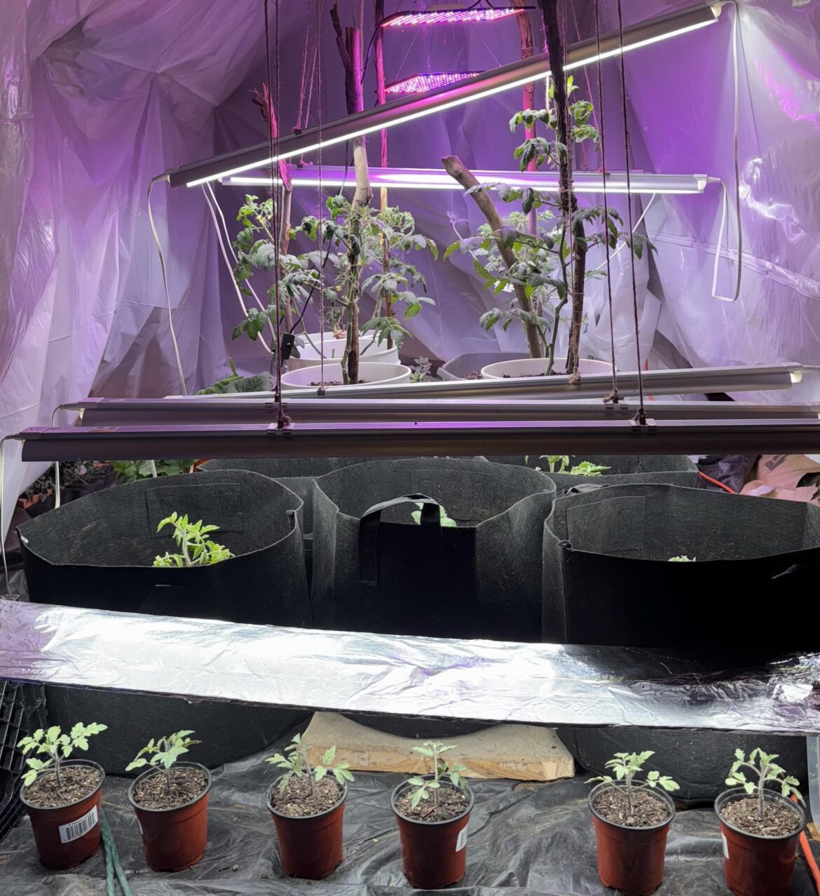 How is my winter set up looking?