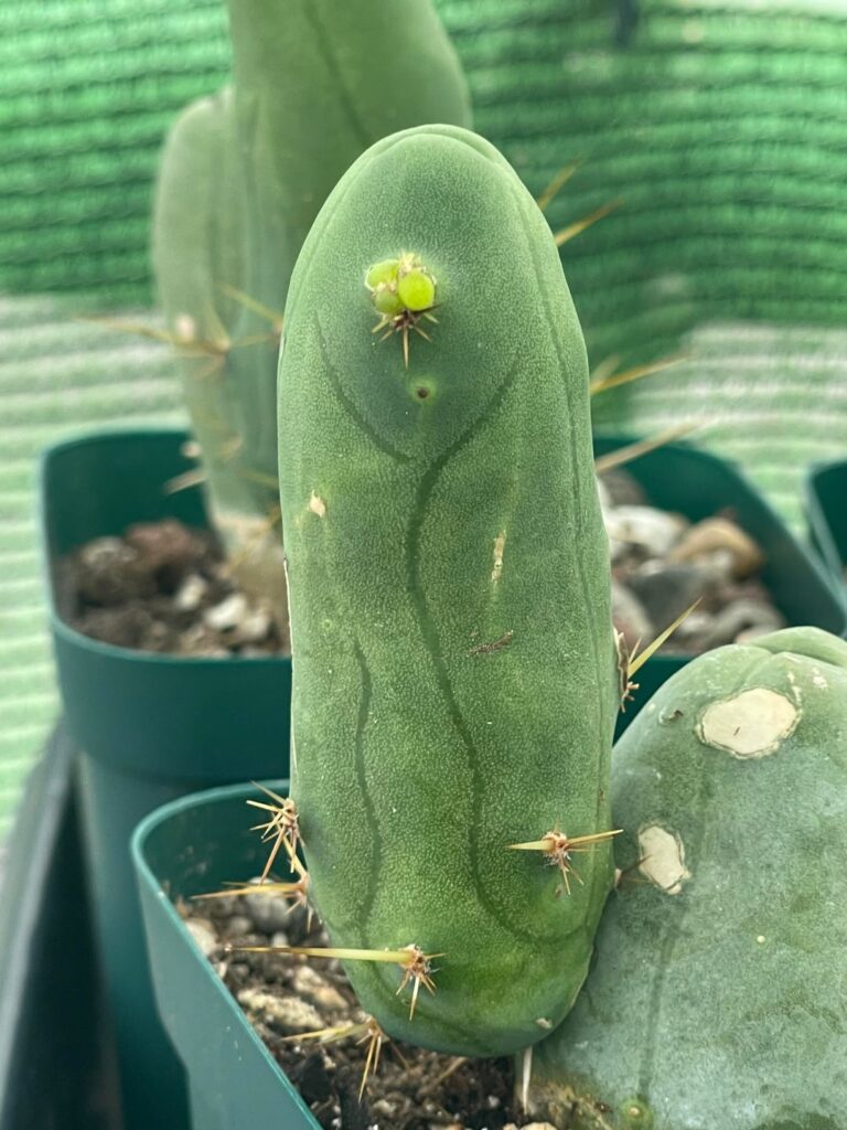 My early Christmas Present!