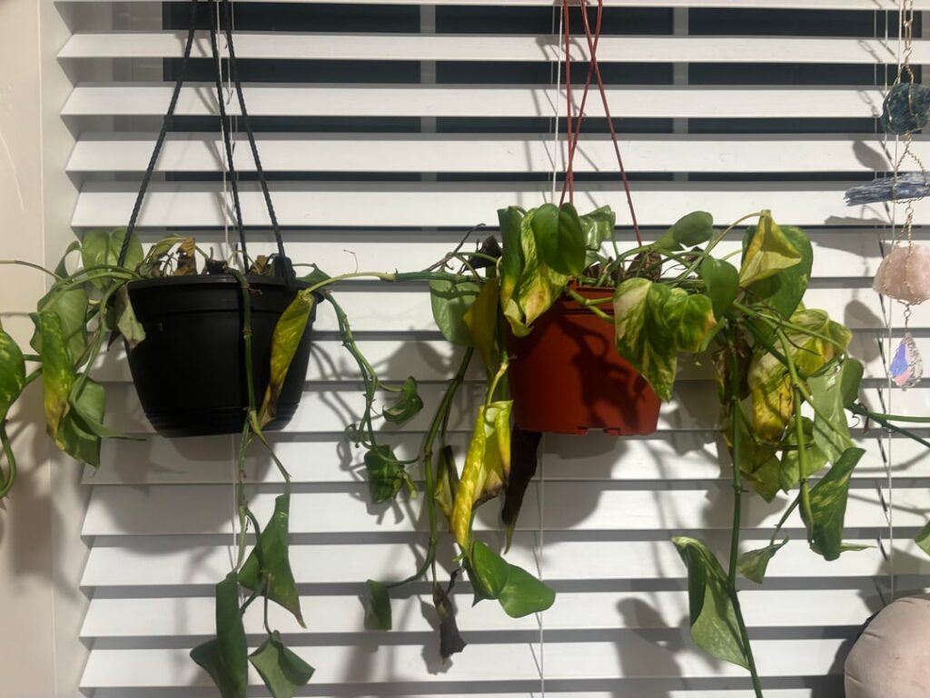 okay, WHAT am i doing wrong😭