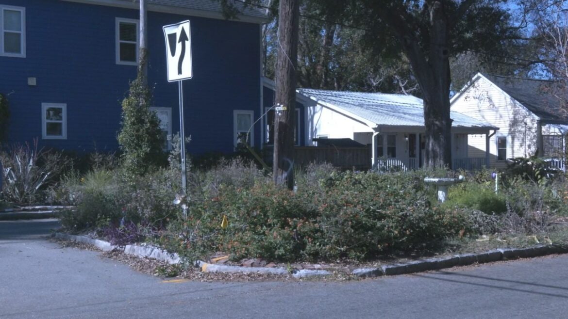 City of Wilmington holds meeting to discuss pilot program for median gardens along 5th Ave City of Wilmington holds meeting to discuss pilot program for median gardens along 5th Ave