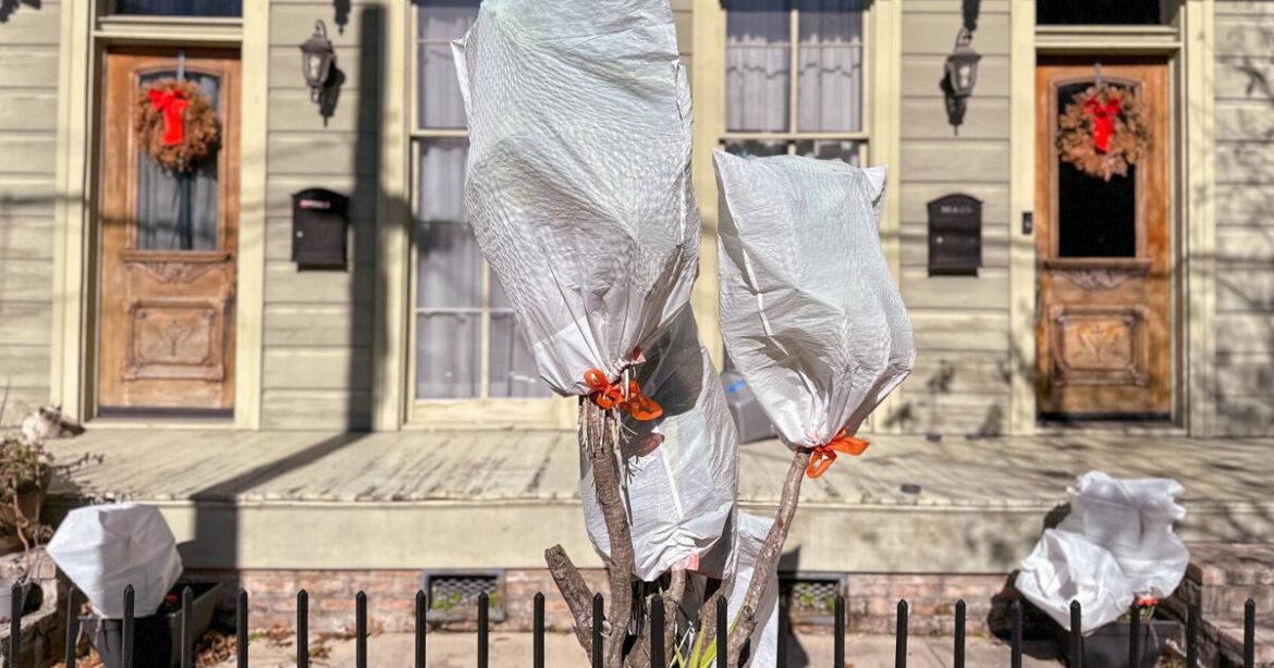 6 things to do in your garden despite the chilly weather: | Home/Garden 6 things to do in your garden despite the chilly weather: | Home/Garden