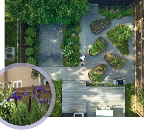 The Little Garden, on the left, abuts the Little Farm at right. Inset: While not native, Siberian irises offer a pop of color. Photo by Lauren Gryniewski, Round Three Photography
