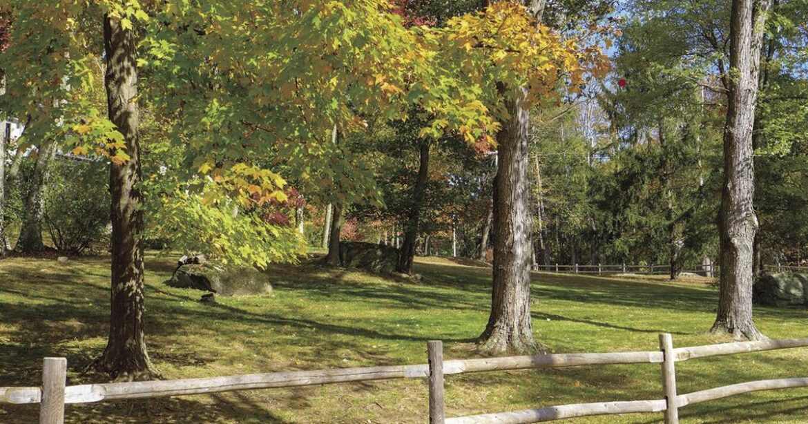 Winter tree care tips from CSU Extension | Columnist Winter tree care tips from CSU Extension | Columnist