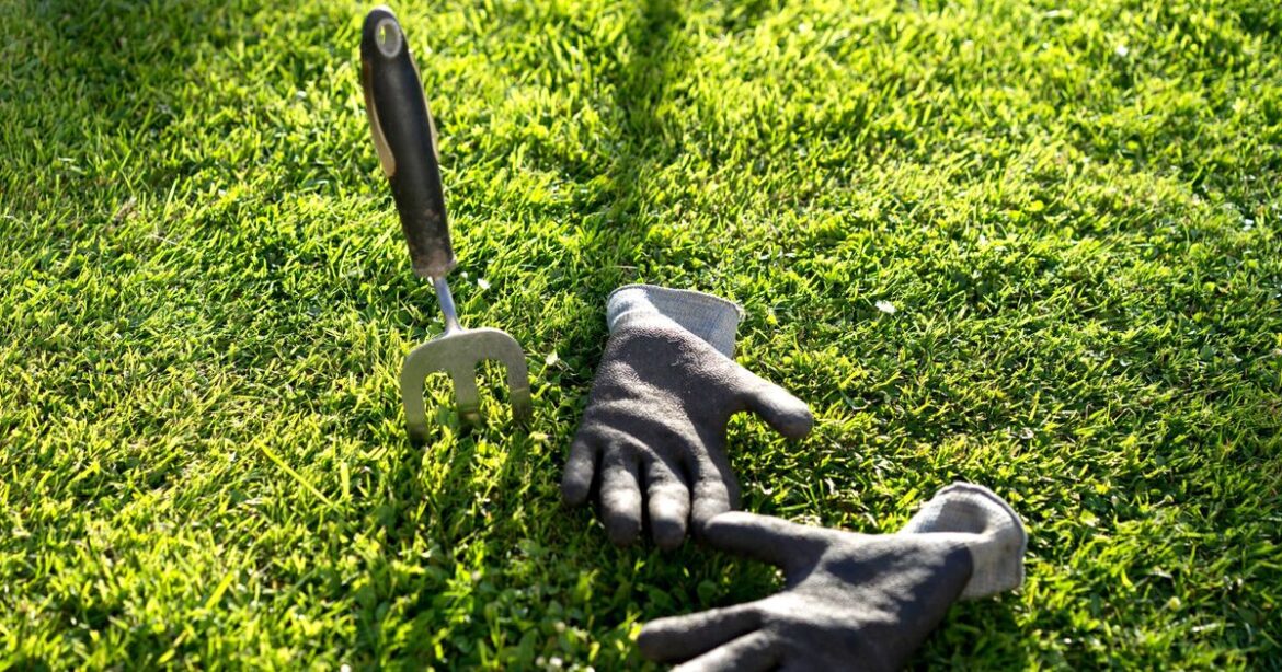 Lawns will survive winter weather if gardening task is done in December