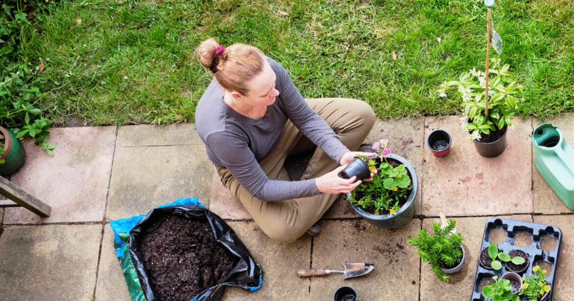 Winter gardeners warned against common practice that can damage patio | Personal Finance | Finance