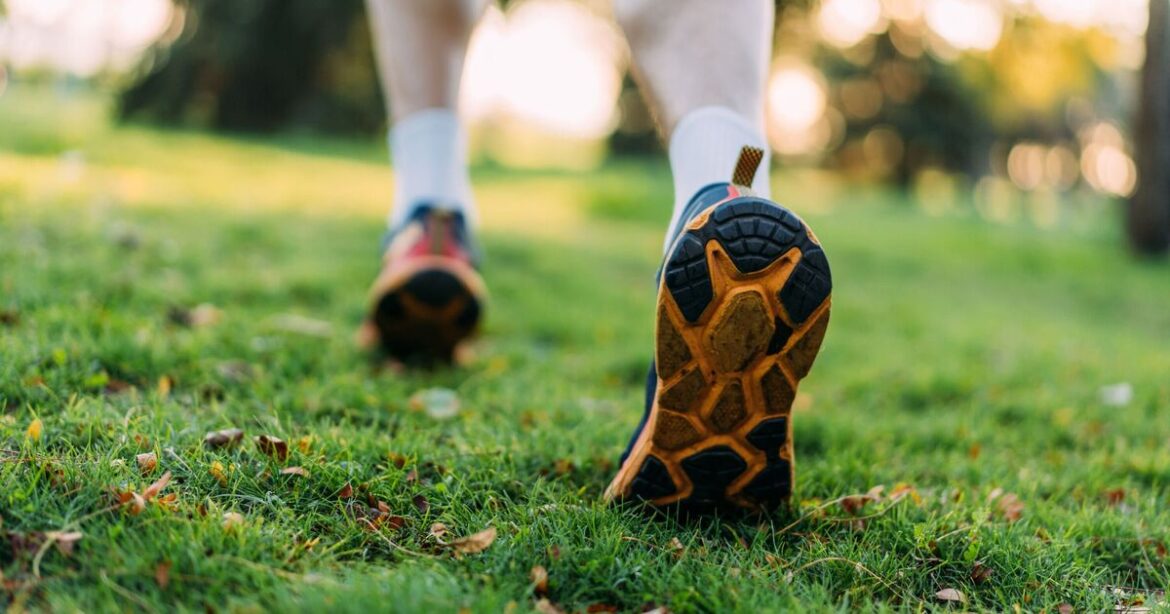 Anyone with a lawn urged ‘don’t walk on it’ in December Anyone with a lawn urged 'don’t walk on it’ in December