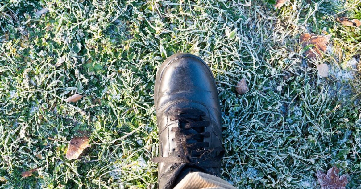 Anyone with garden warned 'avoid stepping on frosty grass' this winter