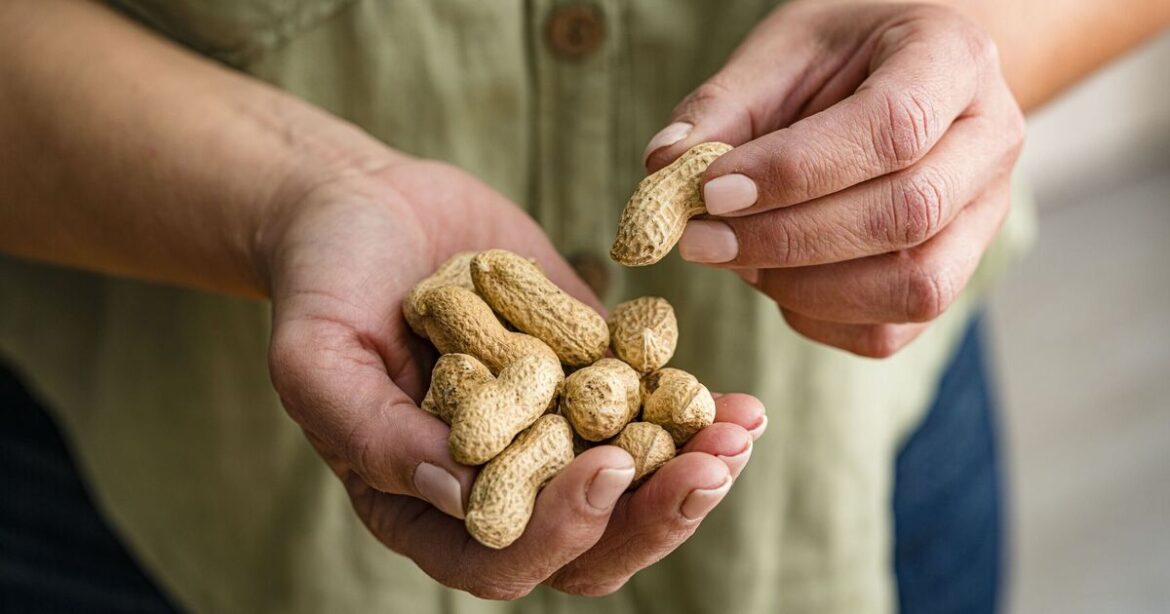 Gardeners urged to scatter peanuts on bird tables in December Gardeners urged to scatter peanuts on bird tables in December