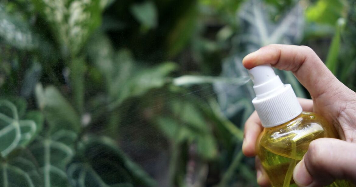 Households urged to put vinegar in garden in December