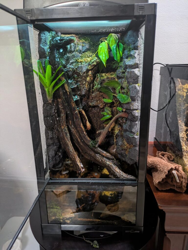 Mold Growth in new Paladarium Mold Growth in new Paladarium