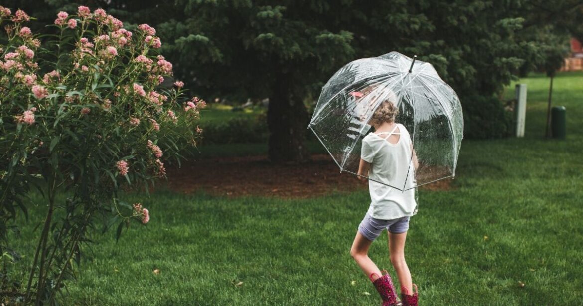 Gardeners urged to do 1 thing to improve lawns after winter rain