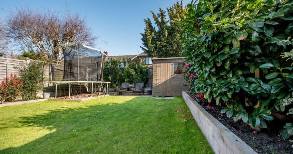 UK households urged to leave biscuits in the garden UK households urged to leave biscuits in the garden