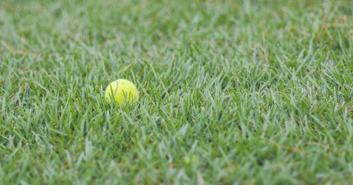 Gardeners urged to scatter tennis balls in gardens for 1 crucial reason Gardeners urged to scatter tennis balls in gardens for 1 crucial reason