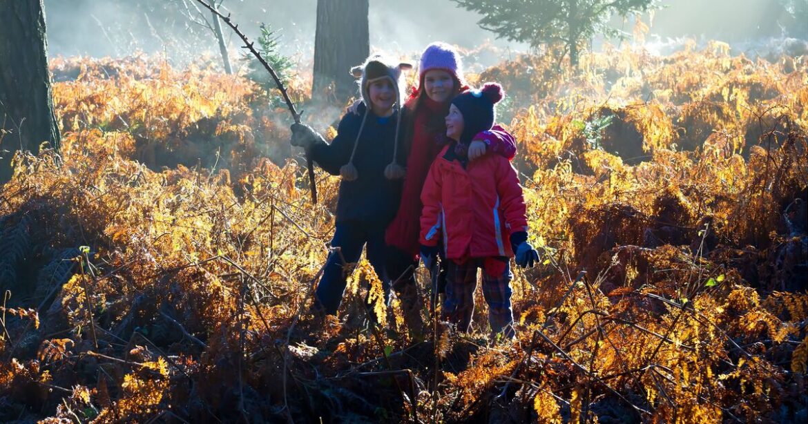 Here are 5 tips to start a lifelong love of nature in kids this Xmas