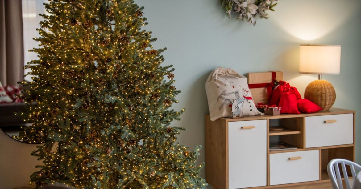 Don’t throw away your Christmas tree as expert urges you to do 3 things instead Don't throw away your Christmas tree as expert urges you to do 3 things instead