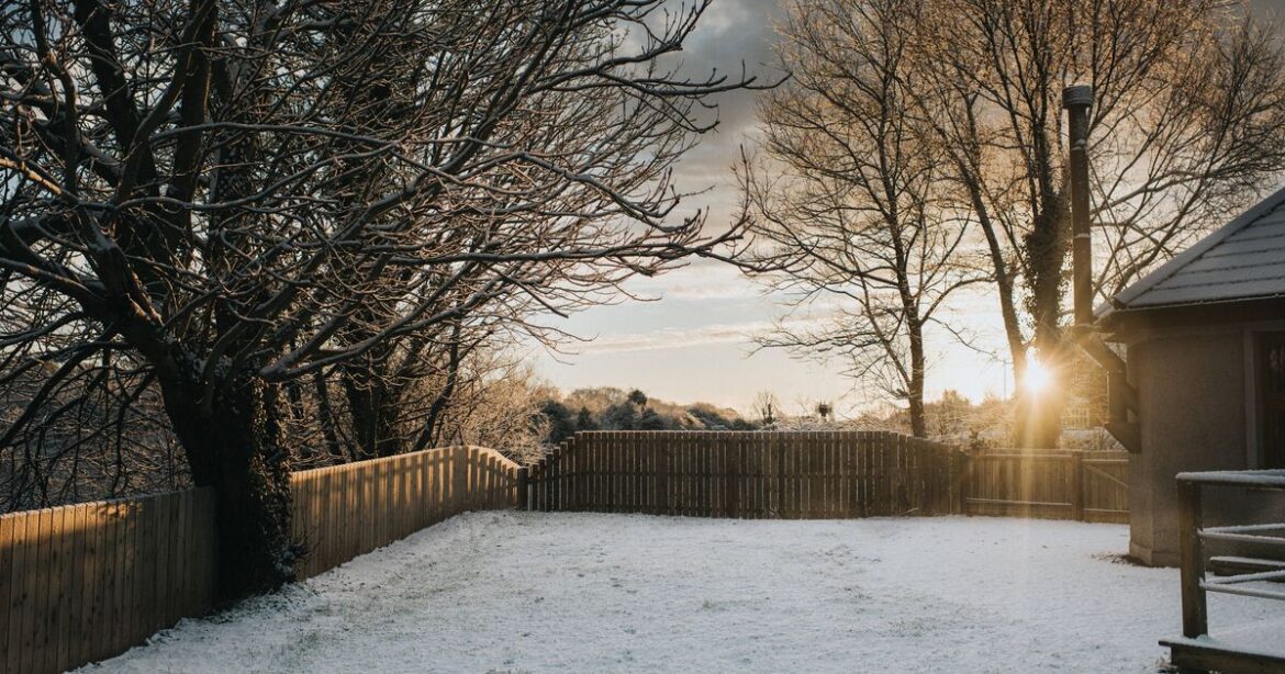 'I was royal gardener for 20 years and you must do key task in January'
