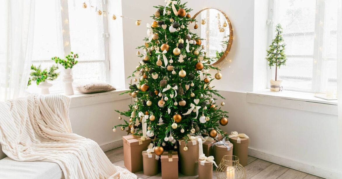 ‘I was royal gardener – Christmas waste can make your garden bloom’ 'I was royal gardener - Christmas waste can make your garden bloom'