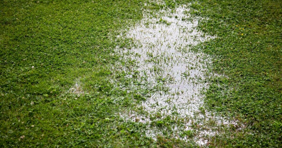 Gardens will be weather resistant if you follow expert's 3 rules