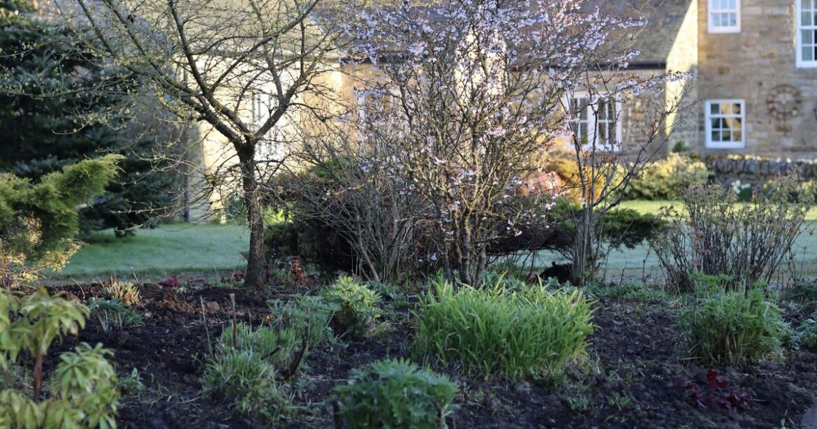 Brits spot something in gardens that's far too early