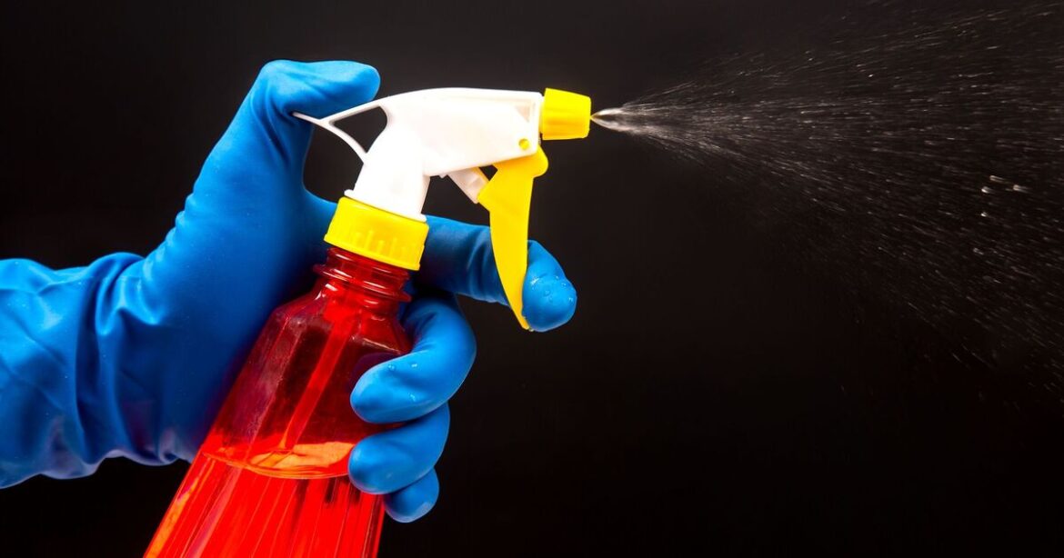 Homeowners urged to spray garlic water in gardens Homeowners urged to spray garlic water in gardens