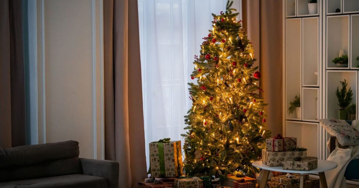 Never throw away Christmas tree in January – you’ll need it for garden Never throw away Christmas tree in January – you'll need it for garden