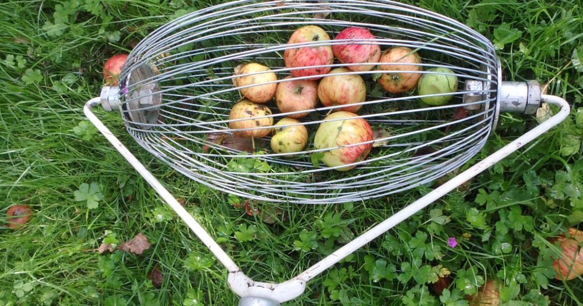 Note from the Garden by Henry Homeyer:Holiday gifts for the gardener | Outdoors Note from the Garden by Henry Homeyer:Holiday gifts for the gardener | Outdoors