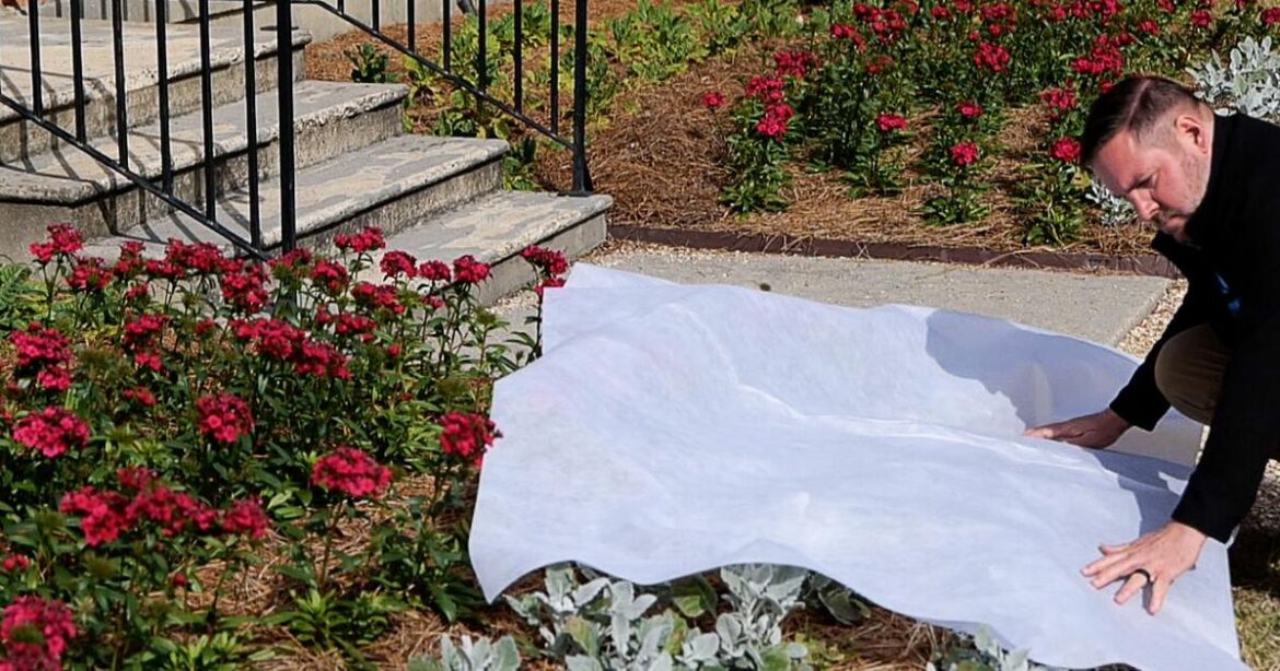 6 tips to prepare your plants for freezes. | Home/Garden 6 tips to prepare your plants for freezes. | Home/Garden