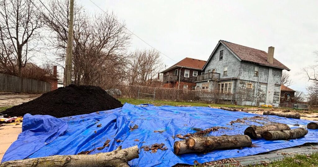 Kislev and Jewish Gardening: Rest, Reflection and Winter Garden Prep | Kislev and Jewish Gardening: Rest, Reflection and Winter Garden Prep |