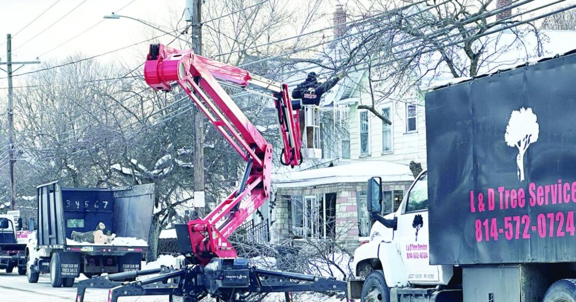 Tree removal continues despite opposition | News Tree removal continues despite opposition | News