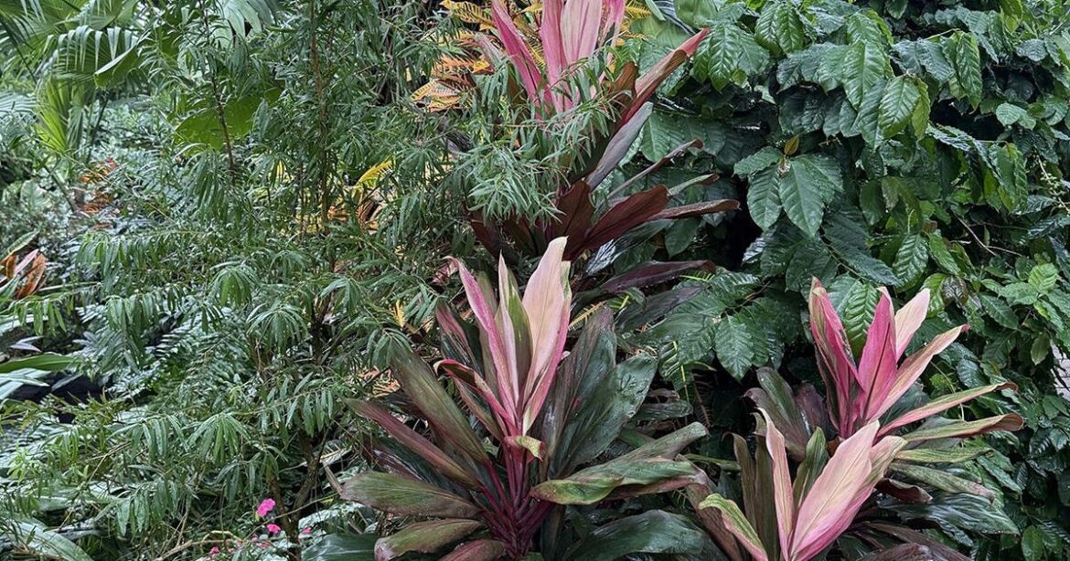 HOME AND GARDEN: Experience the many benefits from time in nature | Premium Plus HOME AND GARDEN: Experience the many benefits from time in nature | Premium Plus