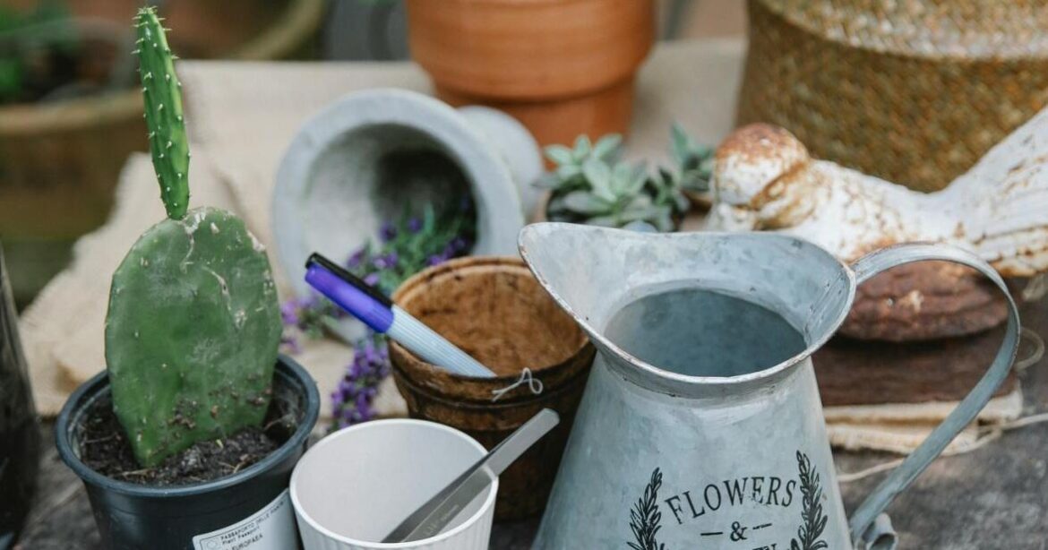 Ann Wright: ‘Tis the season for holiday garden gifts | Lifestyles Ann Wright: ‘Tis the season for holiday garden gifts | Lifestyles