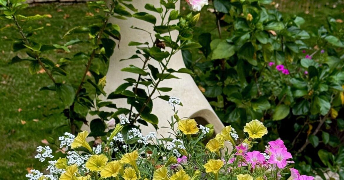 On Gardening: The Garden Guy has Snow in the forecast | Gardening On Gardening: The Garden Guy has Snow in the forecast | Gardening