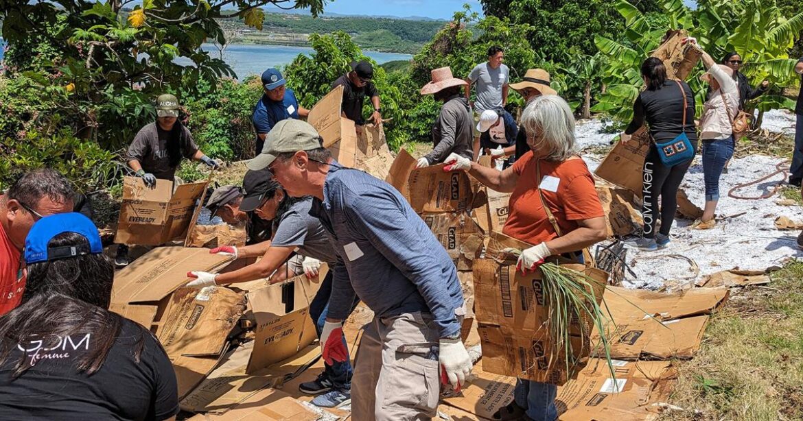 Learn how to build low-maintenance gardens at UOG workshop on Tuesday | News Learn how to build low-maintenance gardens at UOG workshop on Tuesday | News