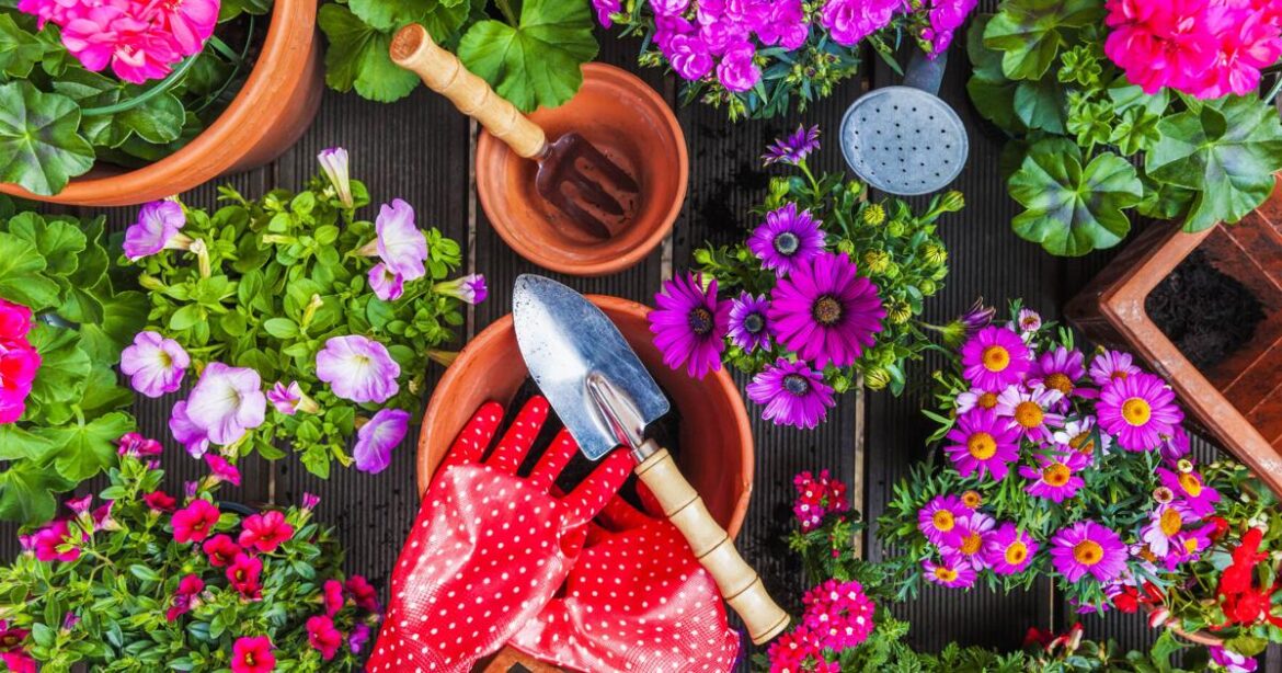 Sign up now for Master Gardener intern training | Community Sign up now for Master Gardener intern training | Community