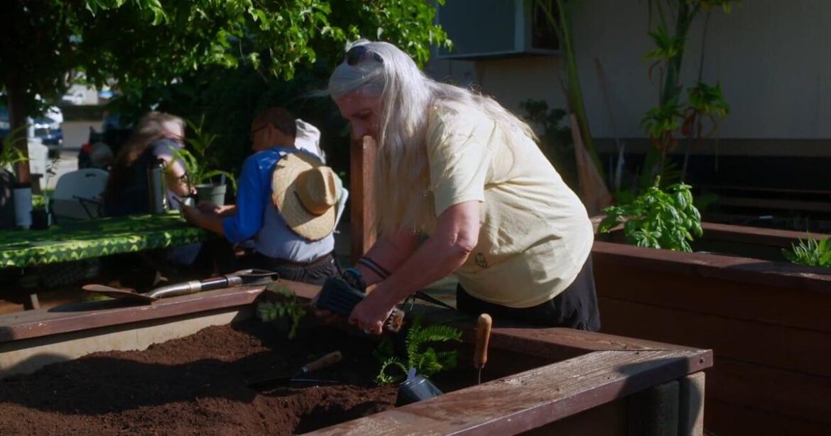 Healing garden at UH Manoa grows community and inclusion | News Healing garden at UH Manoa grows community and inclusion | News