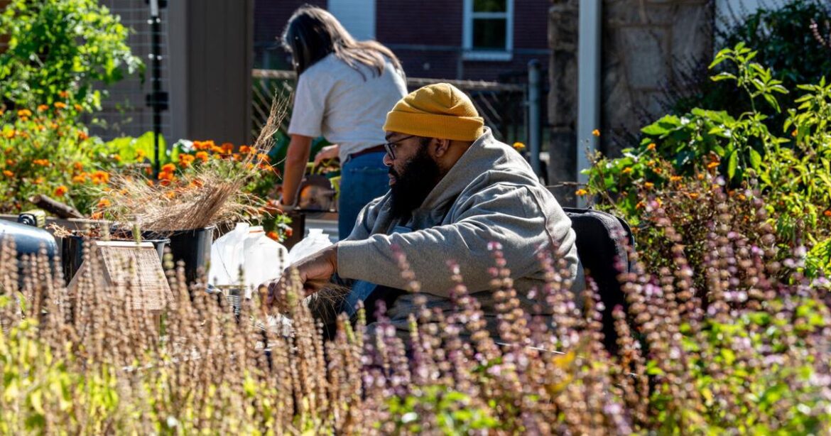 Garden grows community for people isolated by disabilities  | Decatur