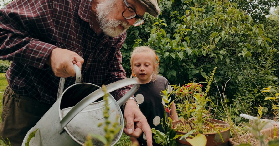 5 New Year’s Gardening Resolutions To Stick To In 2026 5 New Year's Gardening Resolutions To Stick To In 2026