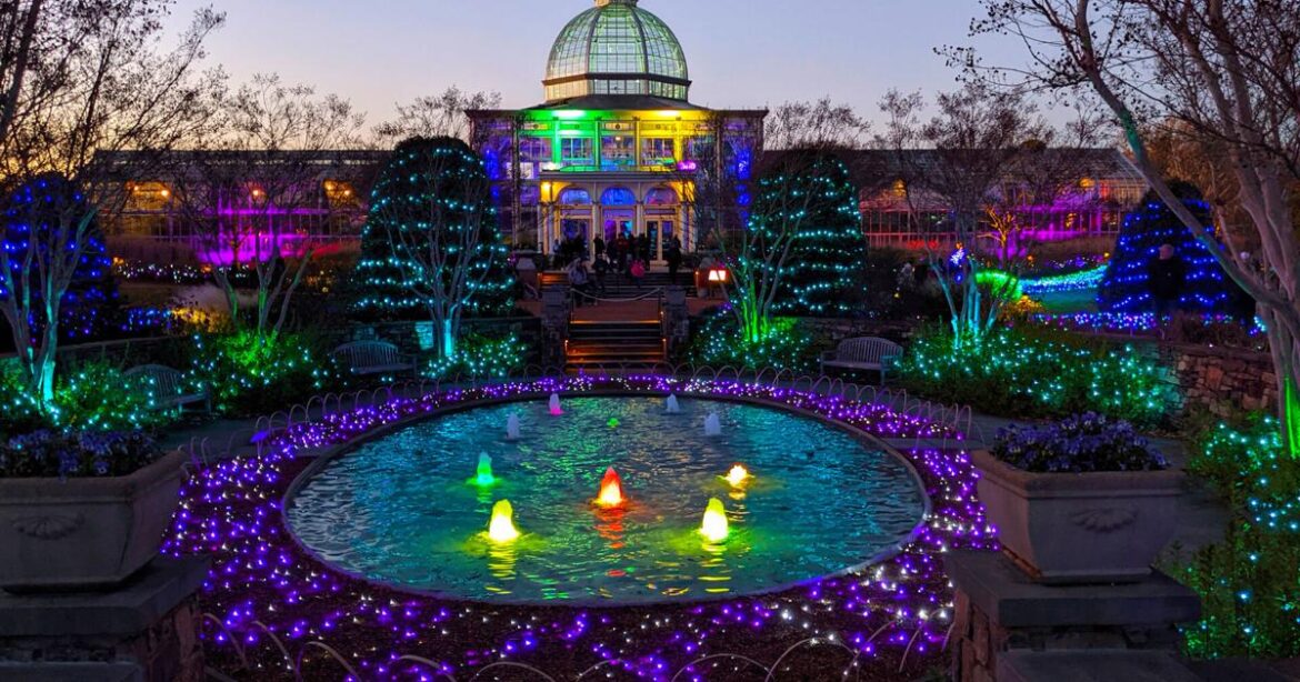 Steppin’ Outside: Botanical garden’s lights make perfect holiday experience | Outdoors