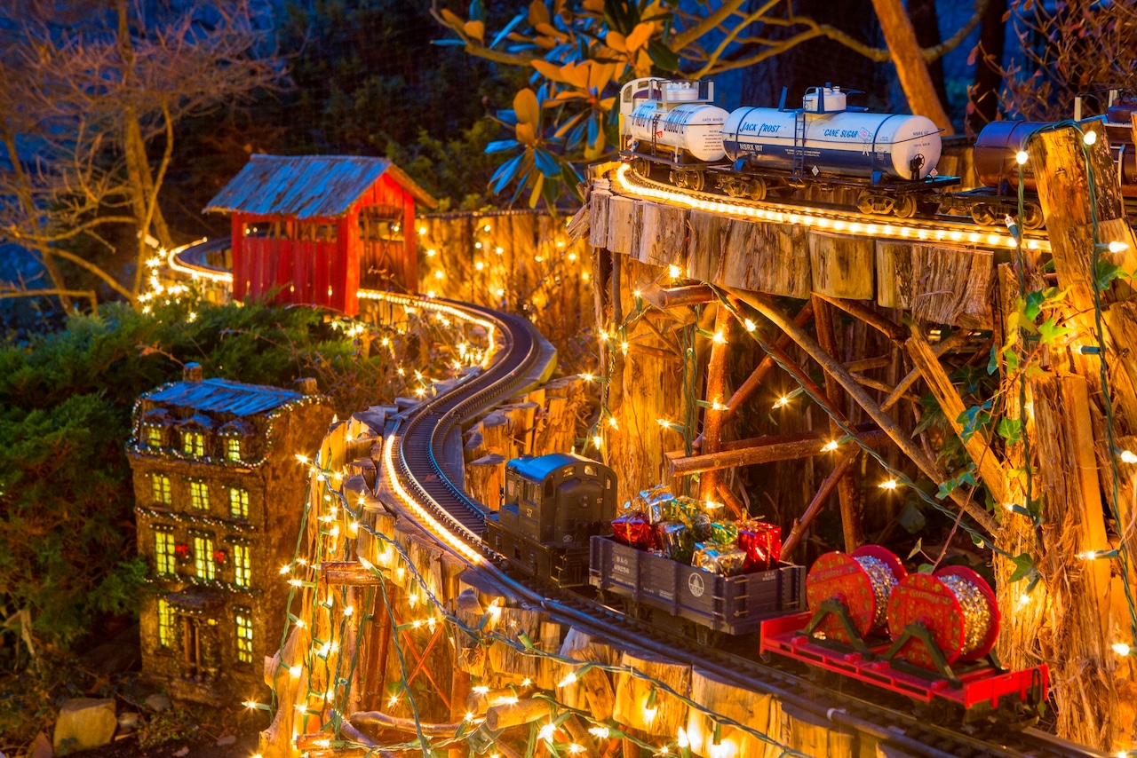 The night trains at Morris Arboretum