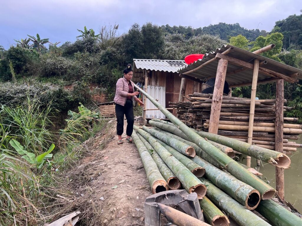 Cutting bamboo to prepare for building a kitchen on the farm.