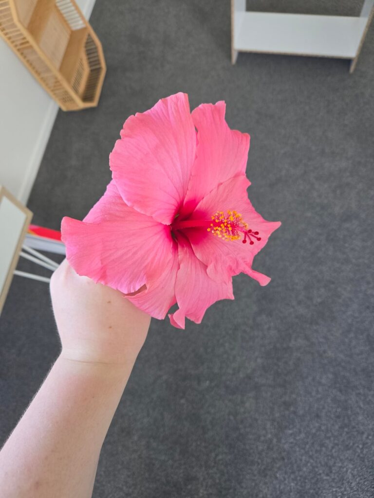 Found this outside my yard 😋 Second post bc I forgot photos