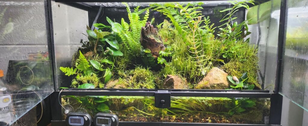 10 gallon, 6 months in, 2 months stocked