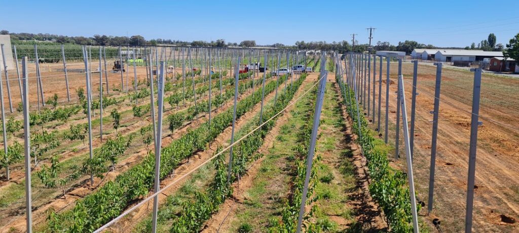 Large automated greenhouse build