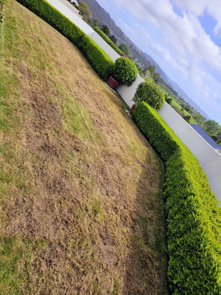 7-week transformation