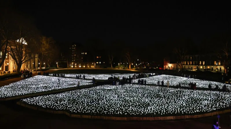 Since its inception, the Ever After Garden has helped raise £1.6 million.<span> Credit: Toby Shepheard / Kensington Palace</span>